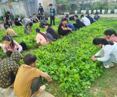 MÔ HÌNH TRỒNG RAU XANH – MỘT SẢN PHẨM STEM TẠI TRƯỜNG PTDTBT TH&THCS ĐỨC XUÂN MÔ HÌNH TRỒNG RAU XANH – MỘT SẢN PHẨM STEM TẠI TRƯỜNG PTDTBT TH&THCS ĐỨC XUÂN